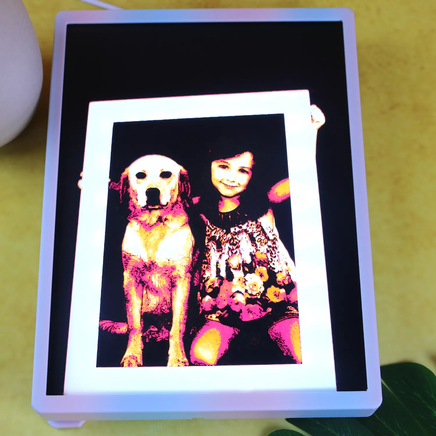 Custom Personal Pet Portraits