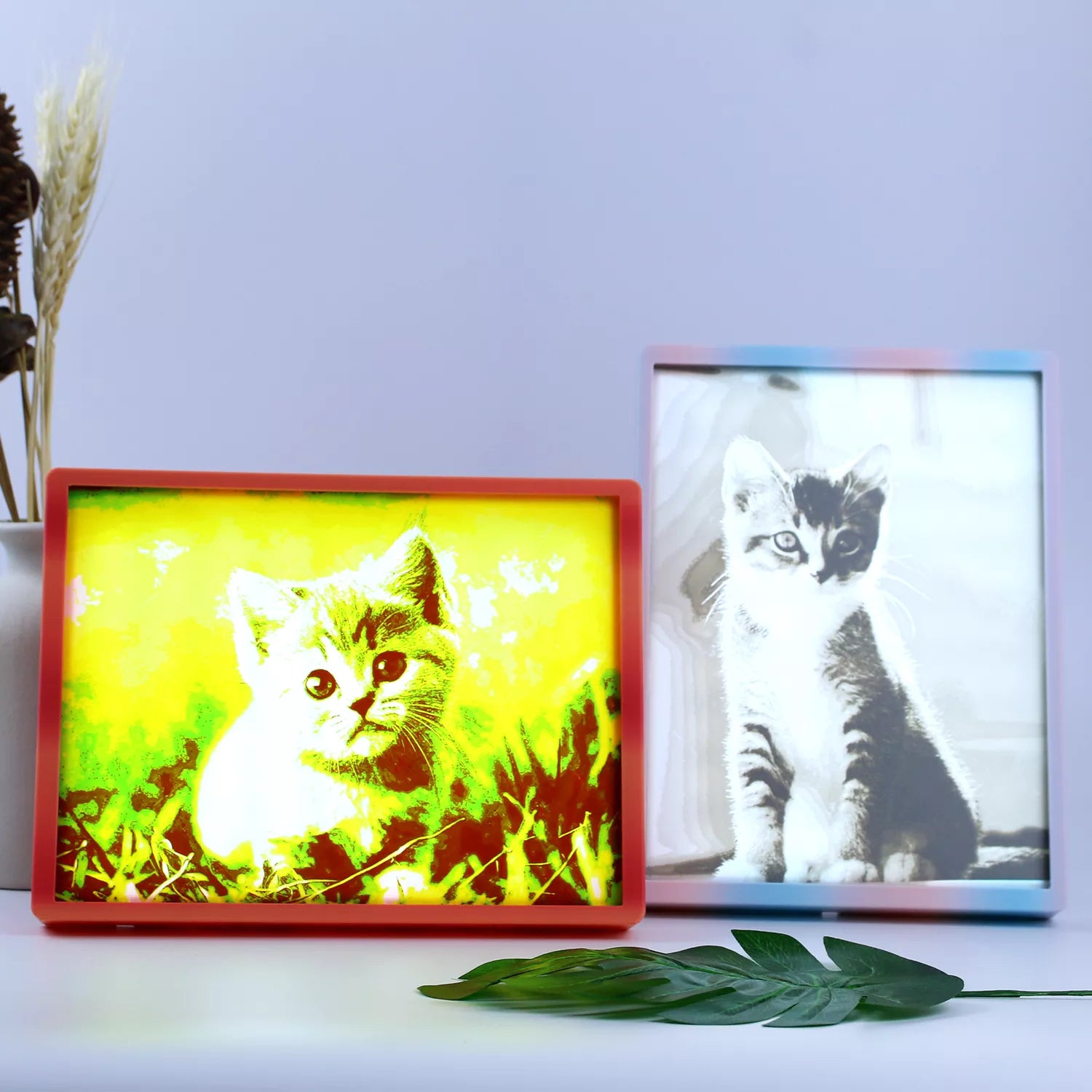 Personalized Pet Photo Gifts